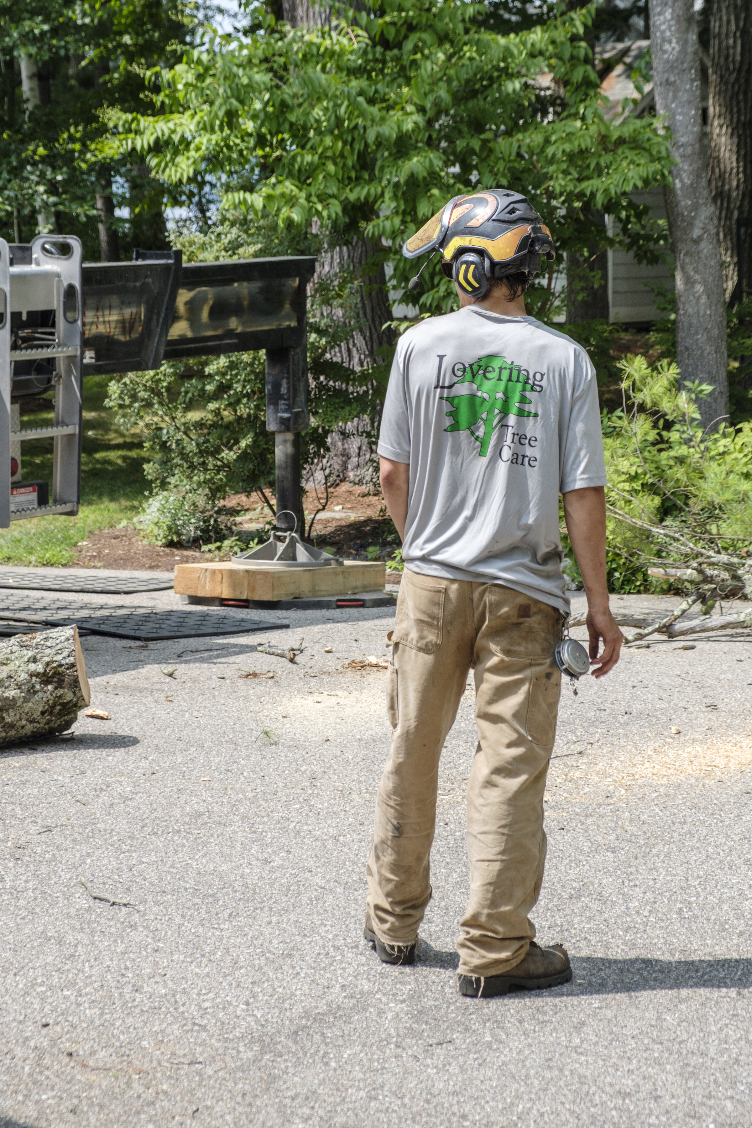 Lovering Tree Care team at work
